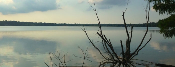 Lake Ronkonkoma Overlook is one of Lugares favoritos de Jesse.