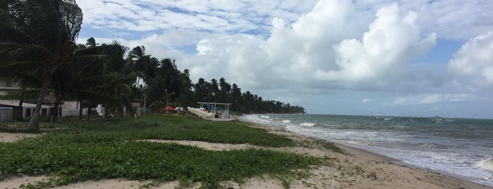 Praia de Peroba is one of สถานที่ที่ Isabelle ถูกใจ.