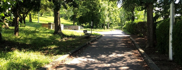 田園公園 is one of 公園.