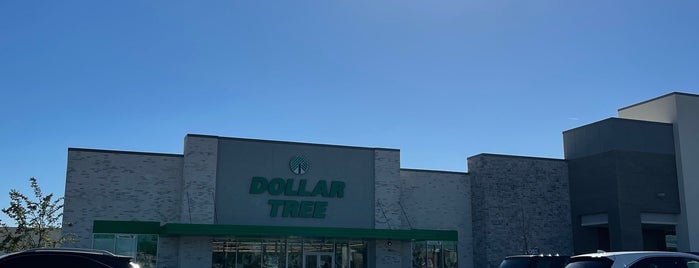 Dollar Tree is one of สถานที่ที่ Phoenix ถูกใจ.