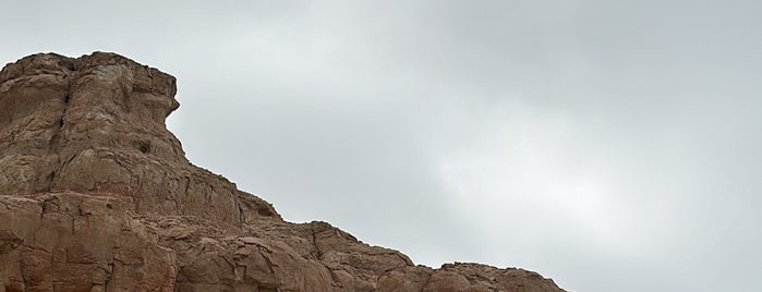 Al Qara Mountain is one of Lieux qui ont plu à M.