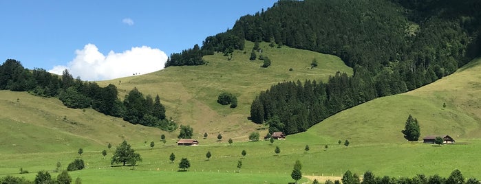 Seebodenalp is one of Places to go in Switzerland.