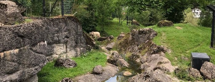 Tierpark Goldau is one of Tempat yang Disukai Ale.