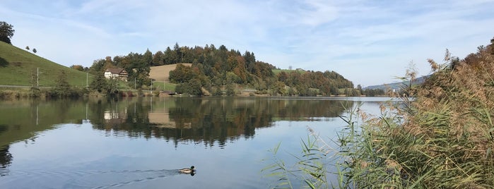 Rotsee is one of Luzern.