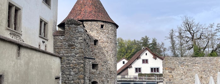 Schloss Hallwyl is one of Seetal, CH (lake valley).