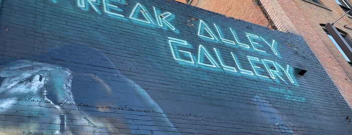 Freak Alley Mural Project is one of Boise.