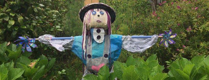 Quinta Pedagógica Dos Prazeres is one of Madeira.