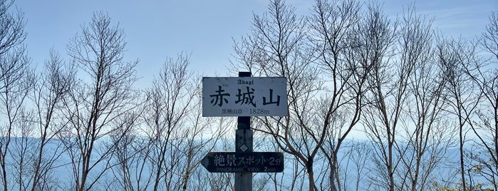 Mt. Kurobisan is one of 花の百名山.