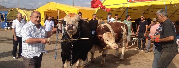 Corlu Hayvan Pazarı is one of Lugares favoritos de Fatih F..