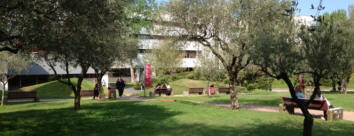 Università degli Studi di Salerno is one of luoghi visitati.