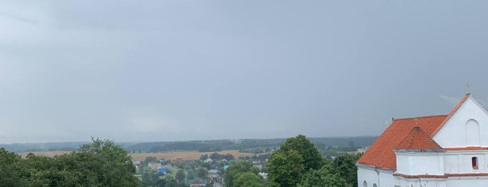 Новогрудский замок / Navahrudak Castle is one of Беларусь 🇧🇾 (вся).