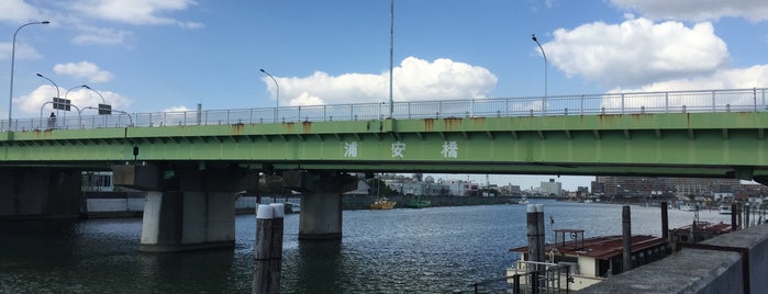 浦安橋 is one of 渡った橋（東日本）.