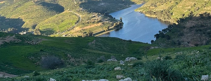 مطل سد الملك طلال is one of Northern Region.