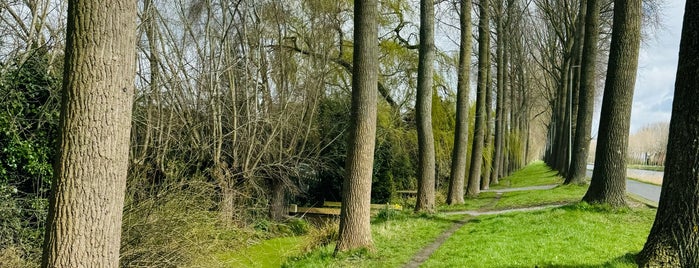 Damse Vaart is one of Best Places Brugge.