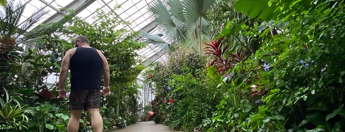 Garfield  Conservatory is one of places I wanna go.