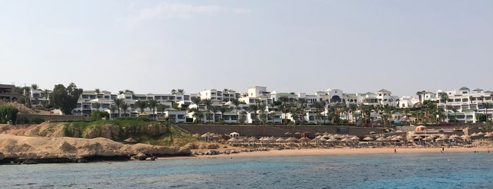 Middle Garden - Dive Site is one of Sharm el sheikh.