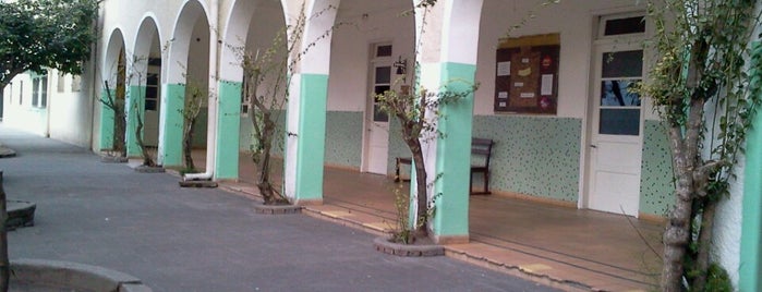 Colegio y Liceo Pallotti is one of Tempat yang Disukai Ade.