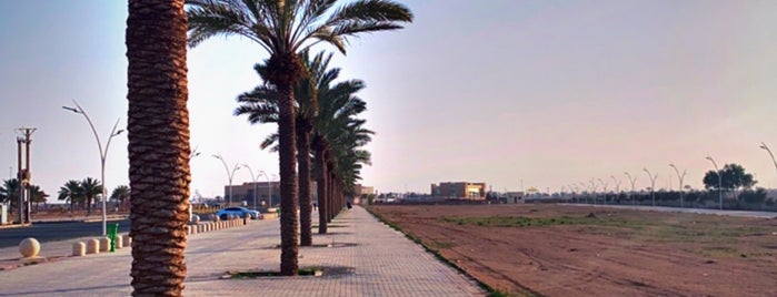 Park حديقه الروّاد is one of Ha'il, SA.