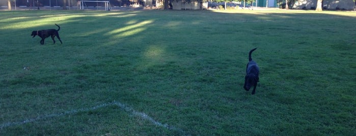 Stanford Park is one of Outdoor Places.