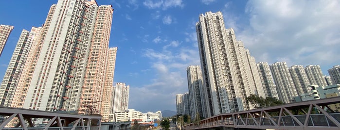 Tin Ching Estate 天晴邨 is one of 公共屋邨.