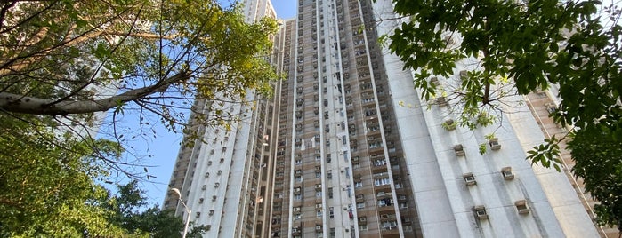 Leung King Estate is one of 公共屋邨.