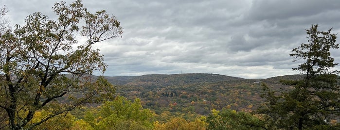 Washburn Trail is one of Forests.