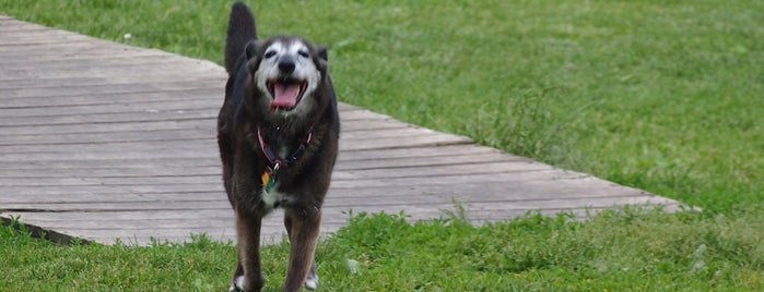 St Charles Dog Park is one of For Mia.