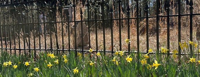 Horn's Creek Church (circa Revolutionary days) And "museum" is one of Revolutionary War Trip.