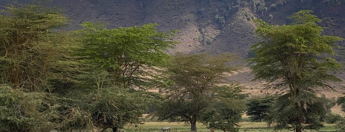 Ngorongoro Conservation Area is one of CBS Sunday Morning 5.