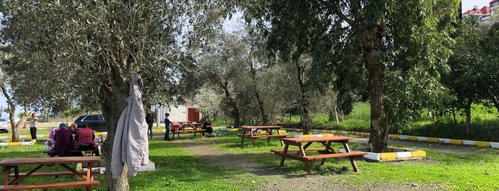 Mersin Plajı Mesire Alanı is one of Trabzon'da Piknik Alanları.