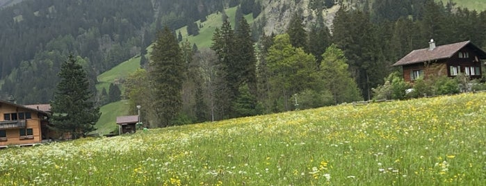 Adelboden is one of Switzerland_excursions.