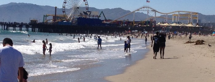 Santa Monica State Beach is one of Best Novice Surfer Beaches.