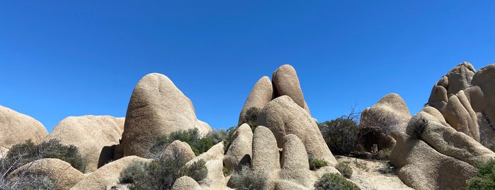 Jumbo Rocks Campground is one of Joshua Tree and Palm Springs.