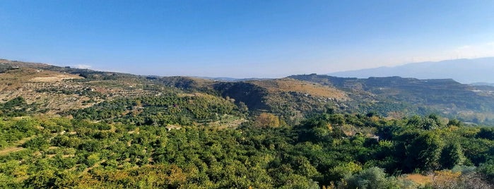 Vakıflı Ermeni Köyü is one of Hatay.