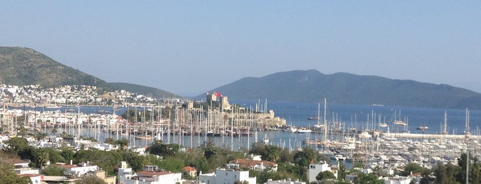 Milta Bodrum Marina is one of themaraton.