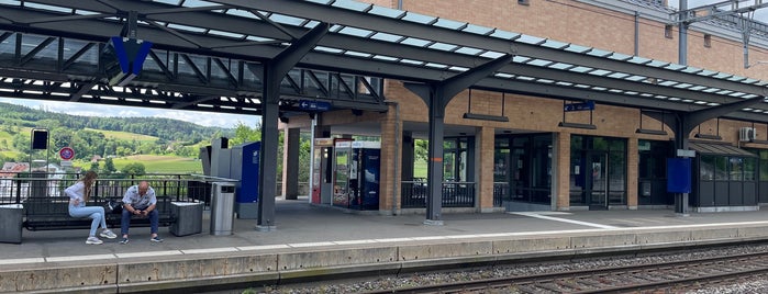 Bahnhof Birmensdorf is one of Train Stations 1.