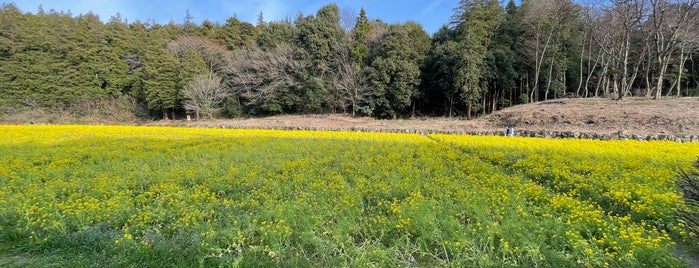 追分市民の森 is one of 絶対行ったる！.