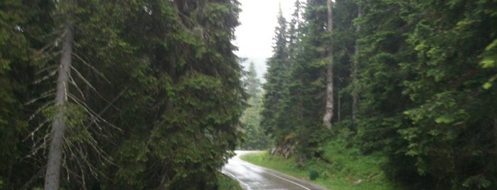 Durmitor National Park is one of Сечање на Црну Гору/Remembrances about Montenegro.