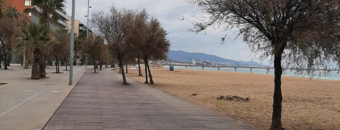 Platja del Coco is one of Barcelona to go.