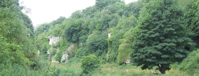 Creswell Crags Museum & Heritage Centre is one of Family Outings.