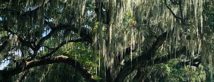 Rosedown Plantation is one of Museums.