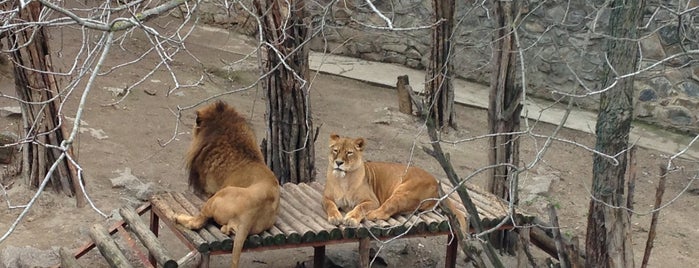 Николаевский зоопарк is one of Любимые места.