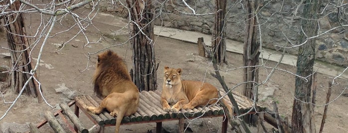 Mykolayiv Zoo is one of Миколаїв.