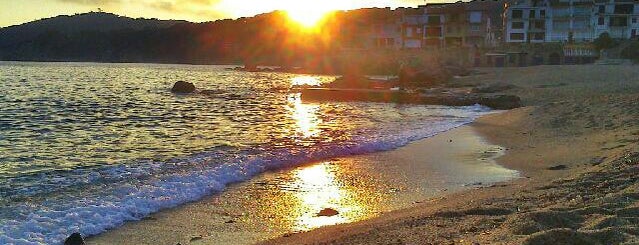 Platja Canadell is one of PLAYAS y CALAS COSTA BRAVA.