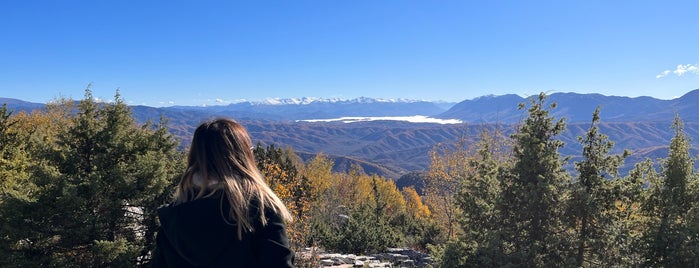 Πέτρινο Δάσος is one of Amazing Epirus.