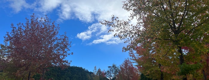 南丹PA (下り) is one of สถานที่ที่ Minami ถูกใจ.