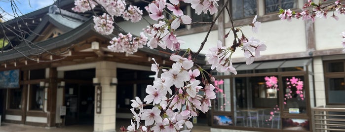 仁和寺 御室会館 is one of 旅先での食事.