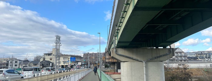 Kangetsu-kyo Bridge is one of 京都市伏見区.