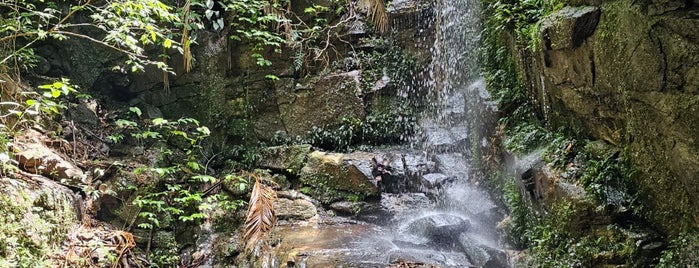 Cachoeira das Almas is one of Trilhas, corrida, pedal e afins.