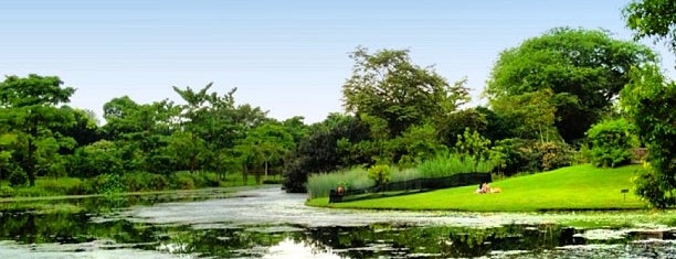 Singapore Botanic Gardens is one of SINGAPORE.